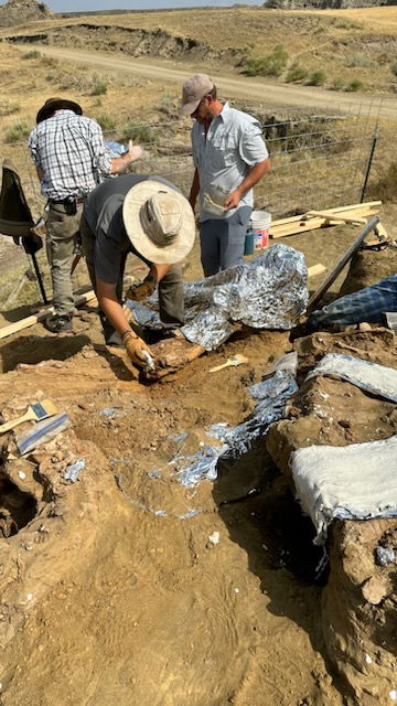 Applying field prep to the end of a femur