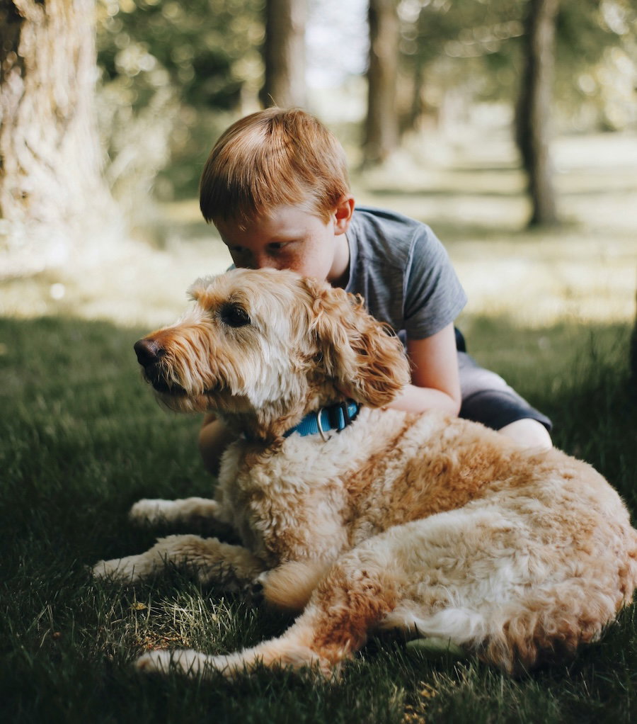 Boy holding dog