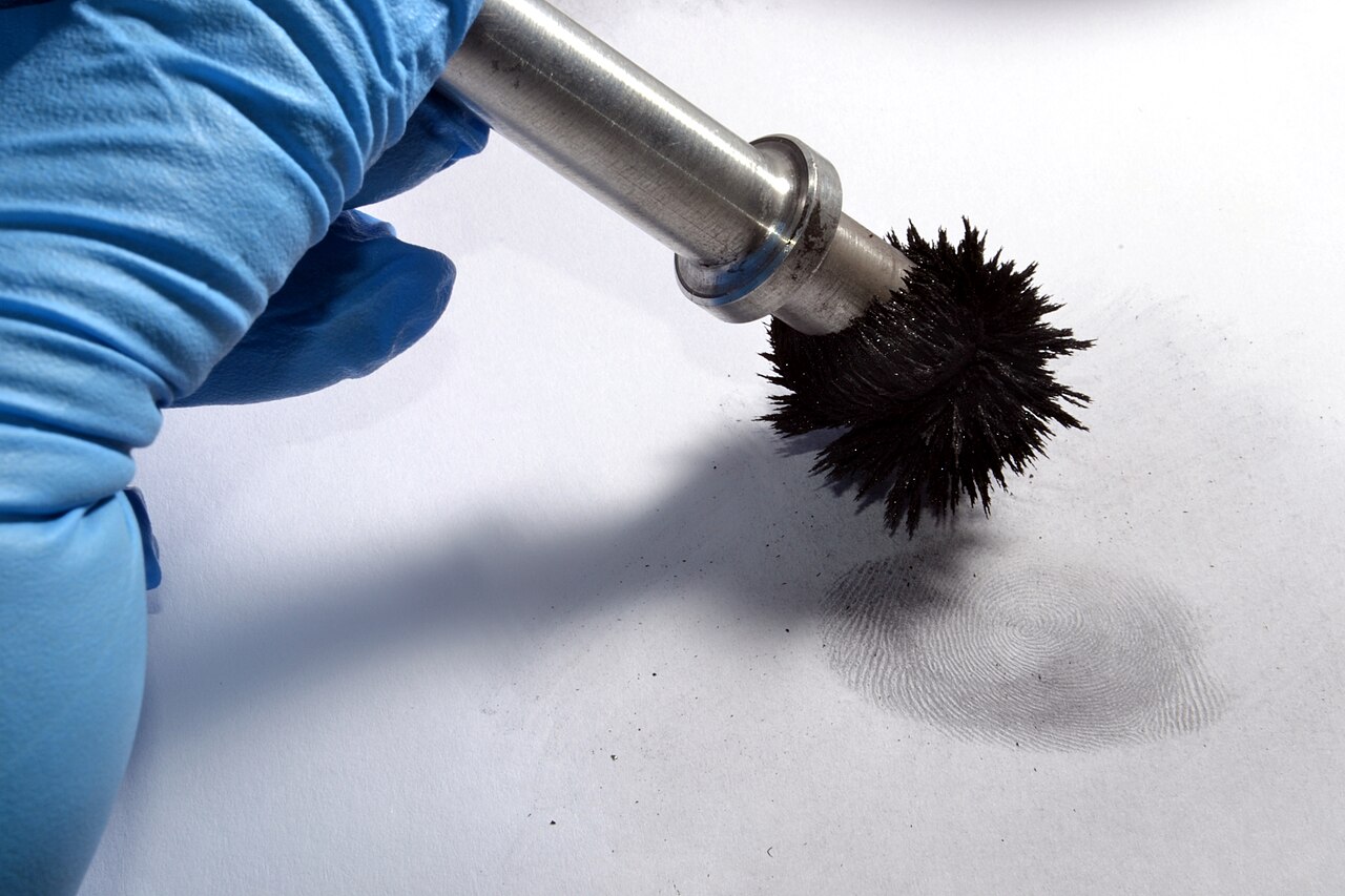 magna brush