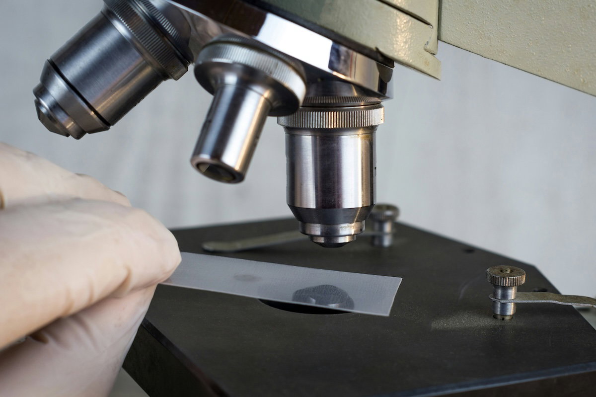Microscope