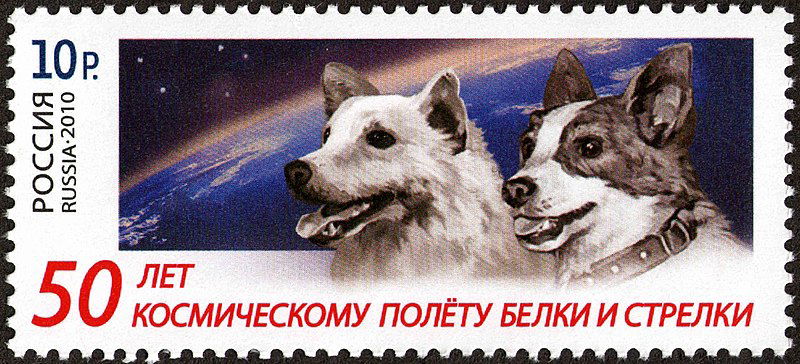 Illustration of the Soviet space dogs, Belka and Strelka