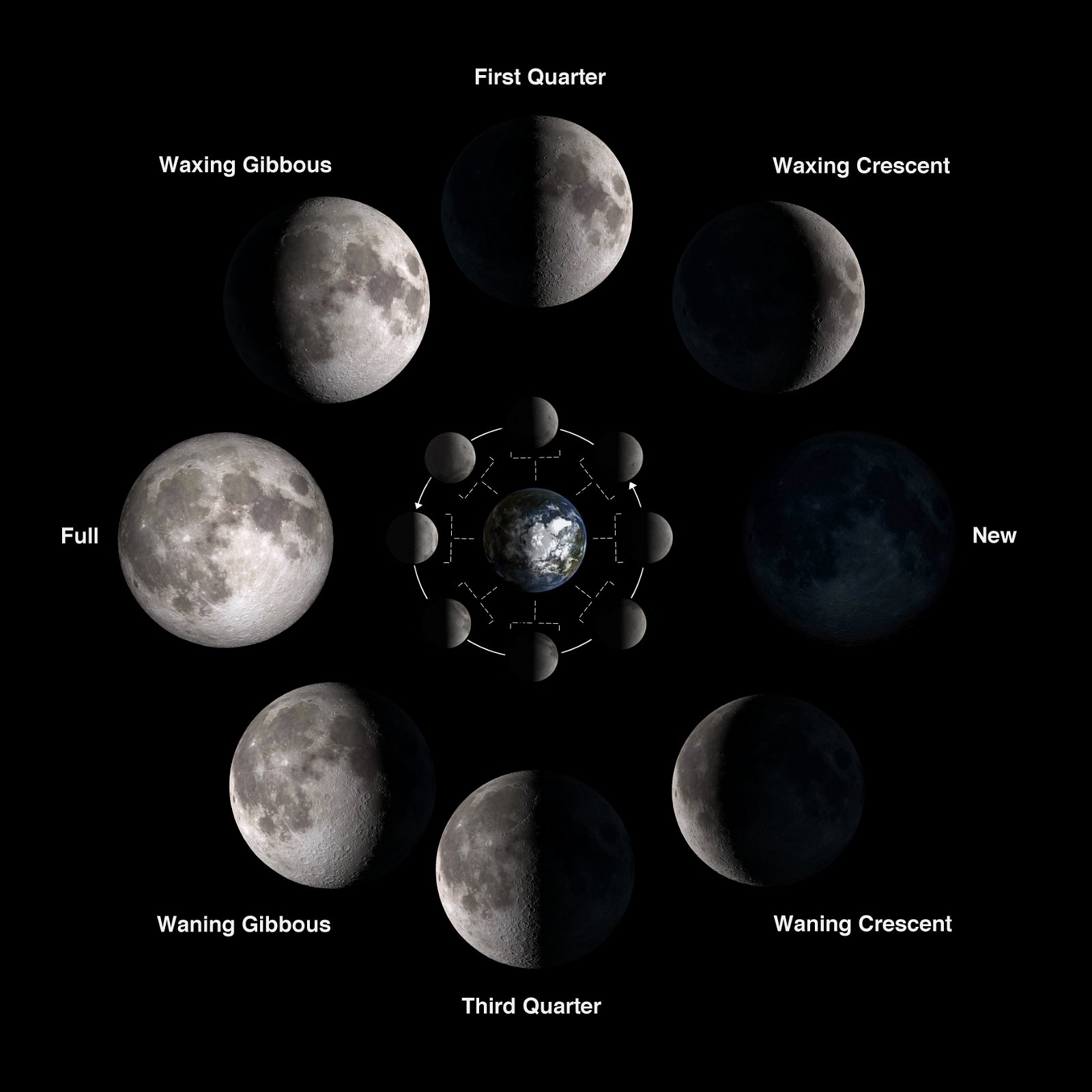 Image showing the eight (8) phases of the moon