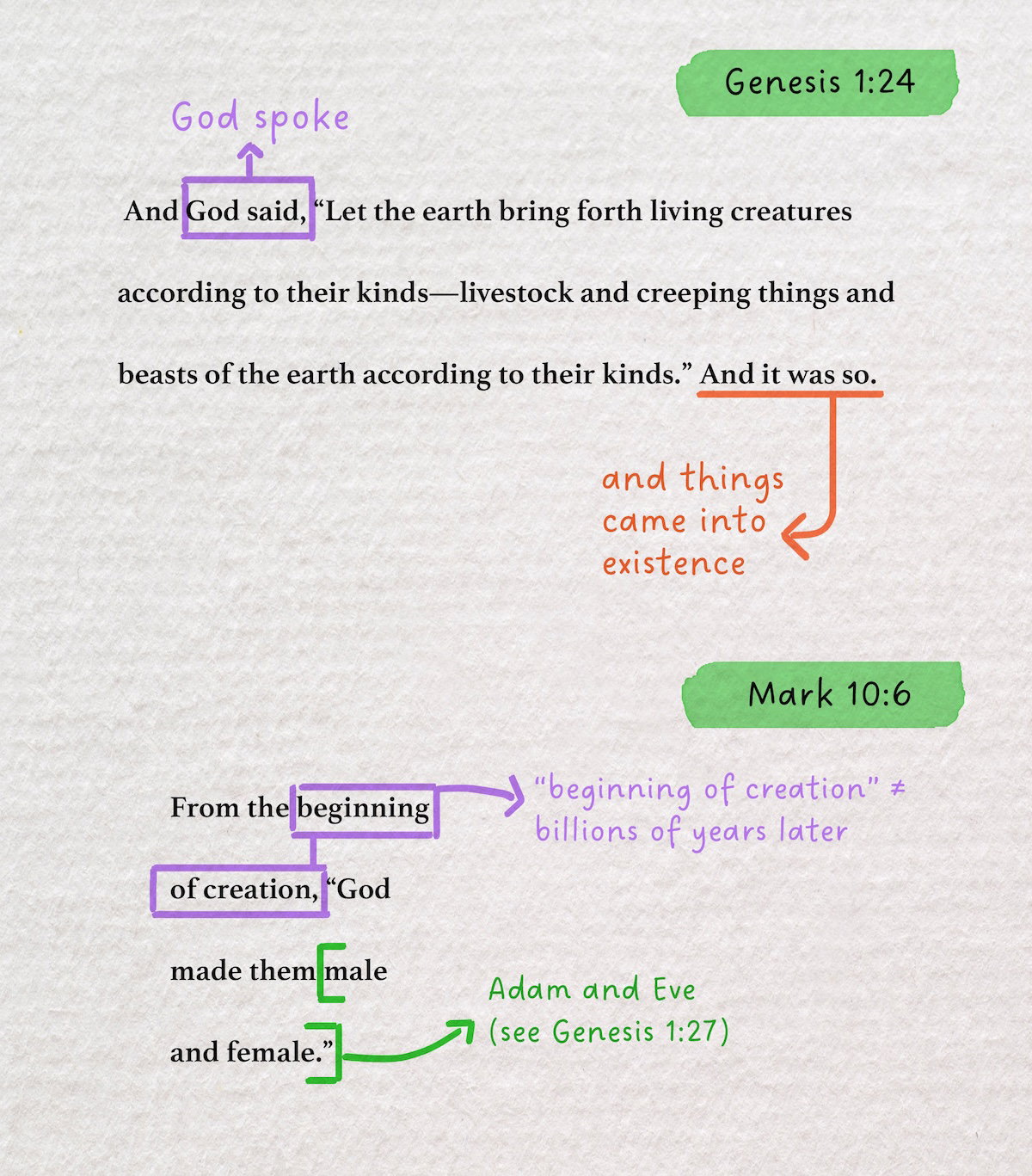 Genesis 1:24 and Mark 10:6