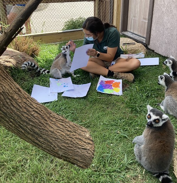 Lemurs Painting