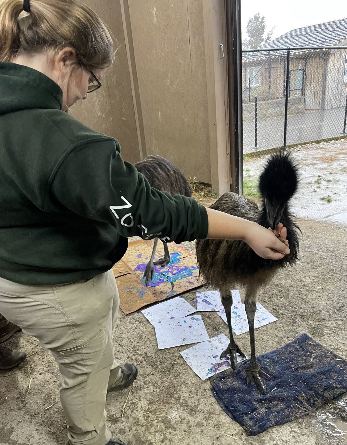 Emus Painting