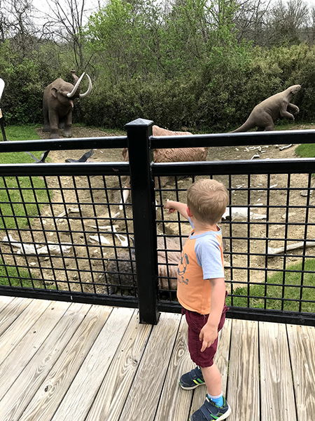 Winston at the Salt Lick