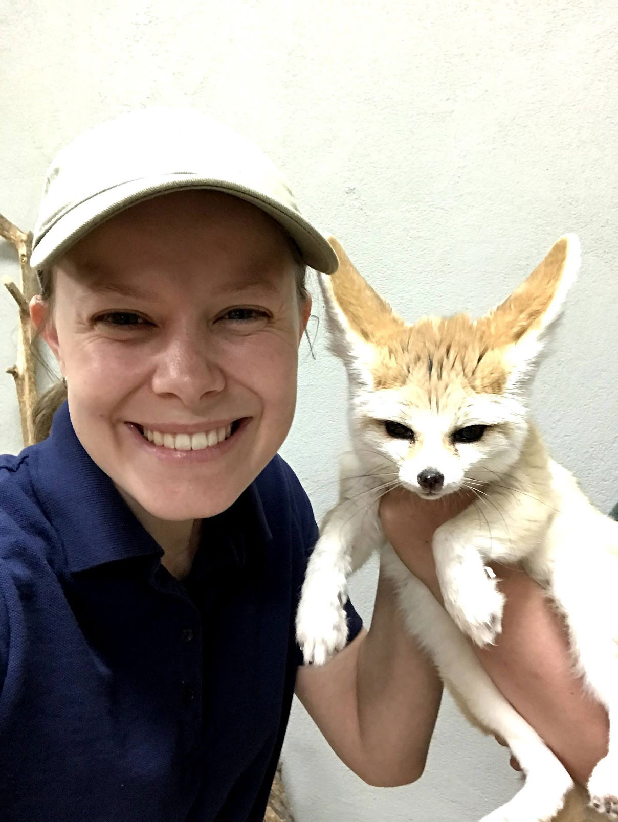 Fennec Fox