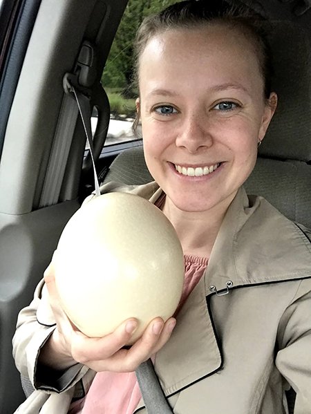 Ostrich Egg