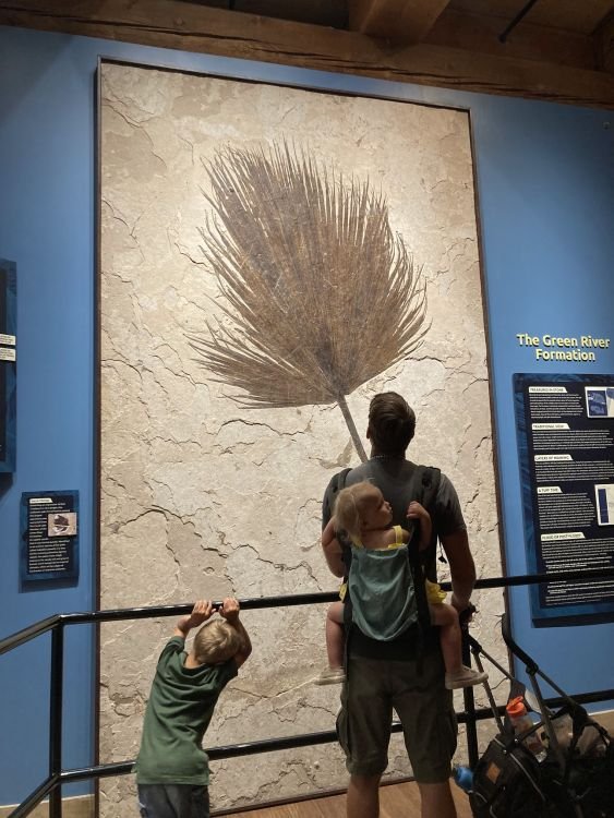 Trevor and the children view the fossilized palm branch at the Ark Encounter.
