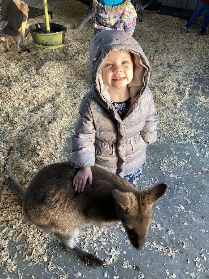 Felicity and Lois with a kangaroo and Boomer the wallaby