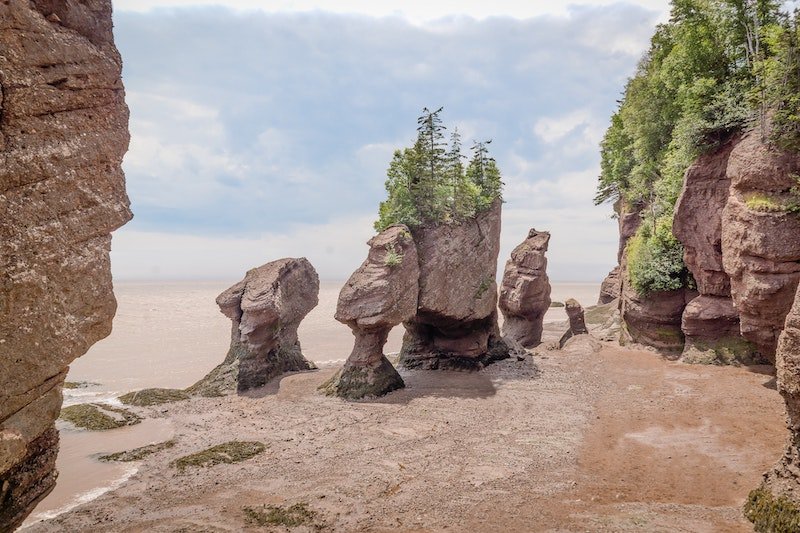 The Bay of Fundy with no water
