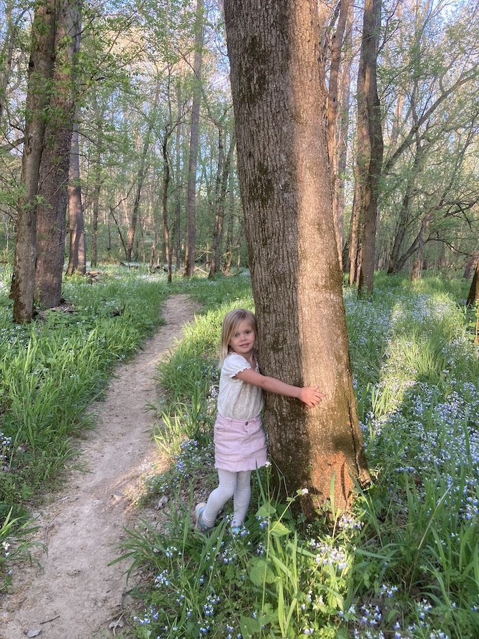 Felicity in woodland