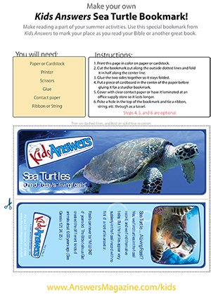 Sea Turtle Bookmark