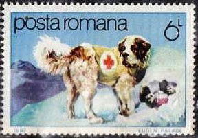 St. Bernard Stamp