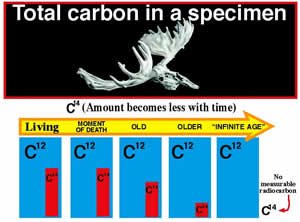 Carbon dating denial