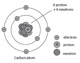 carbon bohr model 6 7