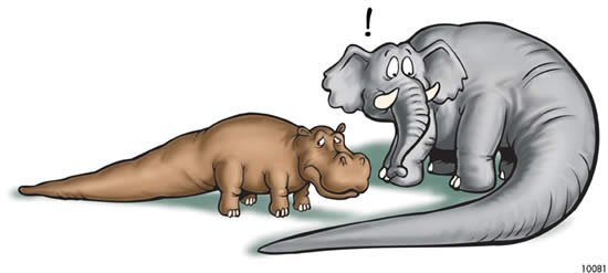 Elephants and hippos with Behemoth tails