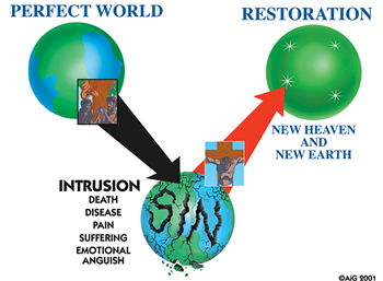 The Fall and restoration