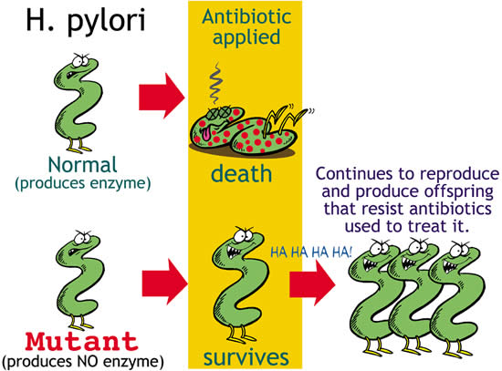 Antibiotic resistance