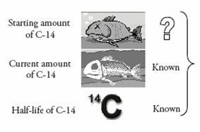 How Can Radioactive Dating Work : A Date With Carbon Bernie S Basics Abc Science / Radioactive dating radioactive dating is helpful for figuring out the age of ancient things.