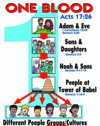 How many sons and daughters did adam and eve have Cain S Wife Answers In Genesis