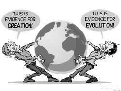 Evidence for Creation or Evolution?