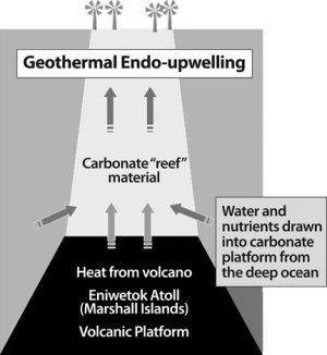 Geothermal Endo-upwelling