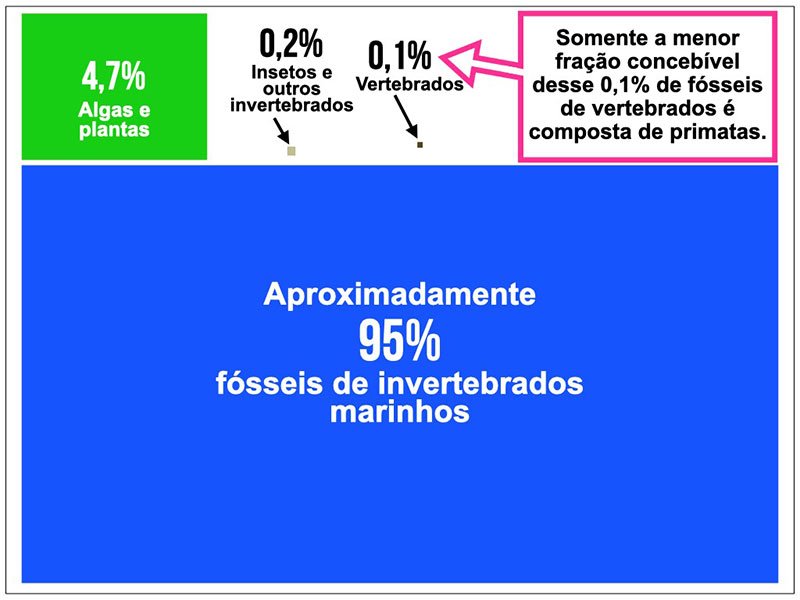 95 percent Marine Invertebrate Fossils