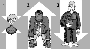 Solo hay tres maneras de hacer un “hombre simio”