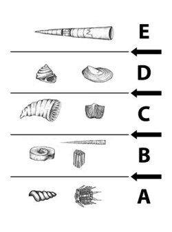 Periods of Time and Events