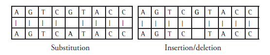 DNA Comparison