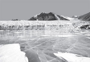 Arctic Lake Ice