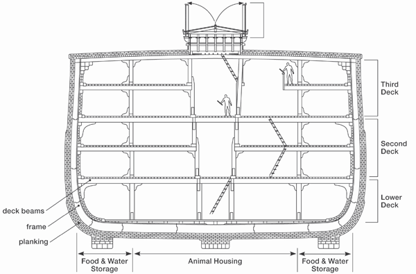 Ark Cross Section