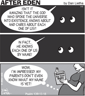 Baby in Womb Cartoon