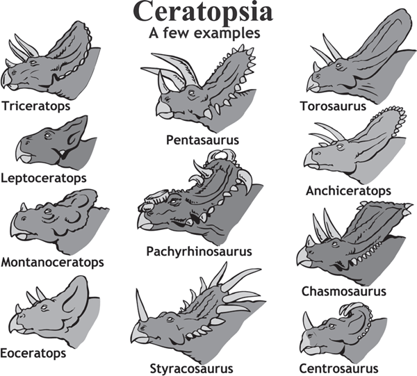 Ceratopsia