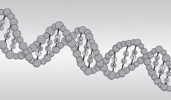 DNA