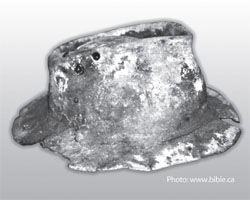 Fossilized Hat