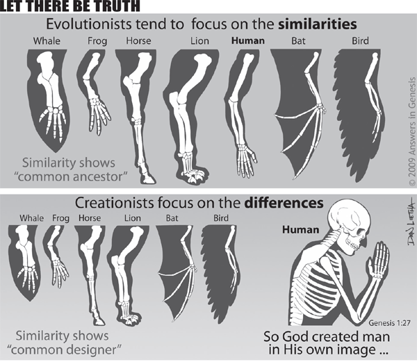 What Are Vestigial Organs? 7 Body Parts We Don't Need - University Health  News