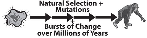 Natural Select + Millions of Years + Mutation + Bursts of Change