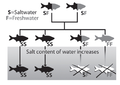 Salinity Changes