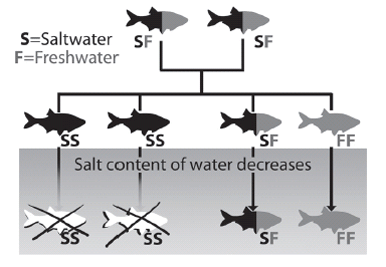 Salinity Changes