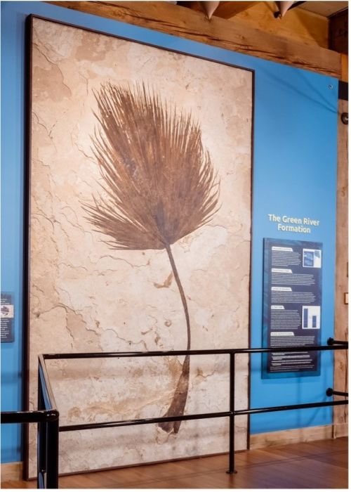 Giant palm frond display at the Ark Encounter