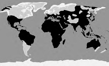 Map of the earth showing ice sheets