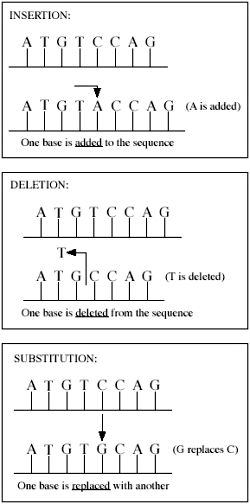 Various types of mutations