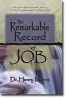 The Remarkable Record of Job