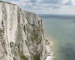 Chalk and “Upper Cretaceous” Deposits are Part of the Noachian Flood