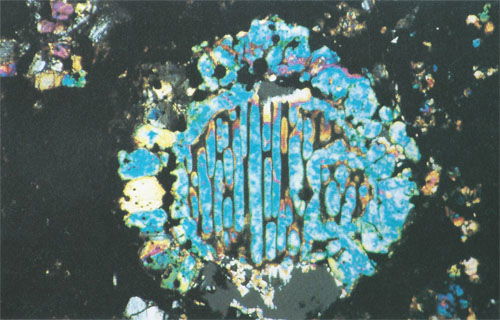 Barred Olivine Chondrule