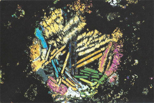 Polysomatic Barred Olivine Chondrule