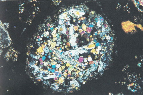 Porphyritic Olivine-Pyroxene Chondrule