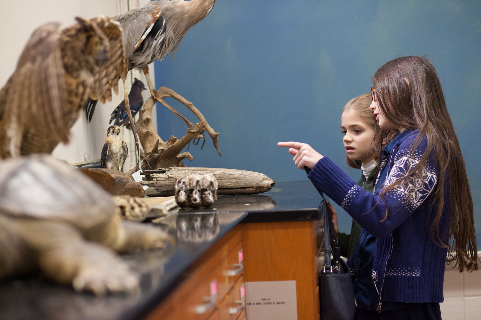 Fossil Workshop With Dr. DeYoung